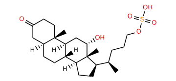 3-Keto-12a-hydroxy-5a-cholan-24-sulfate